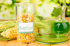 North Stoneham biofuel availability